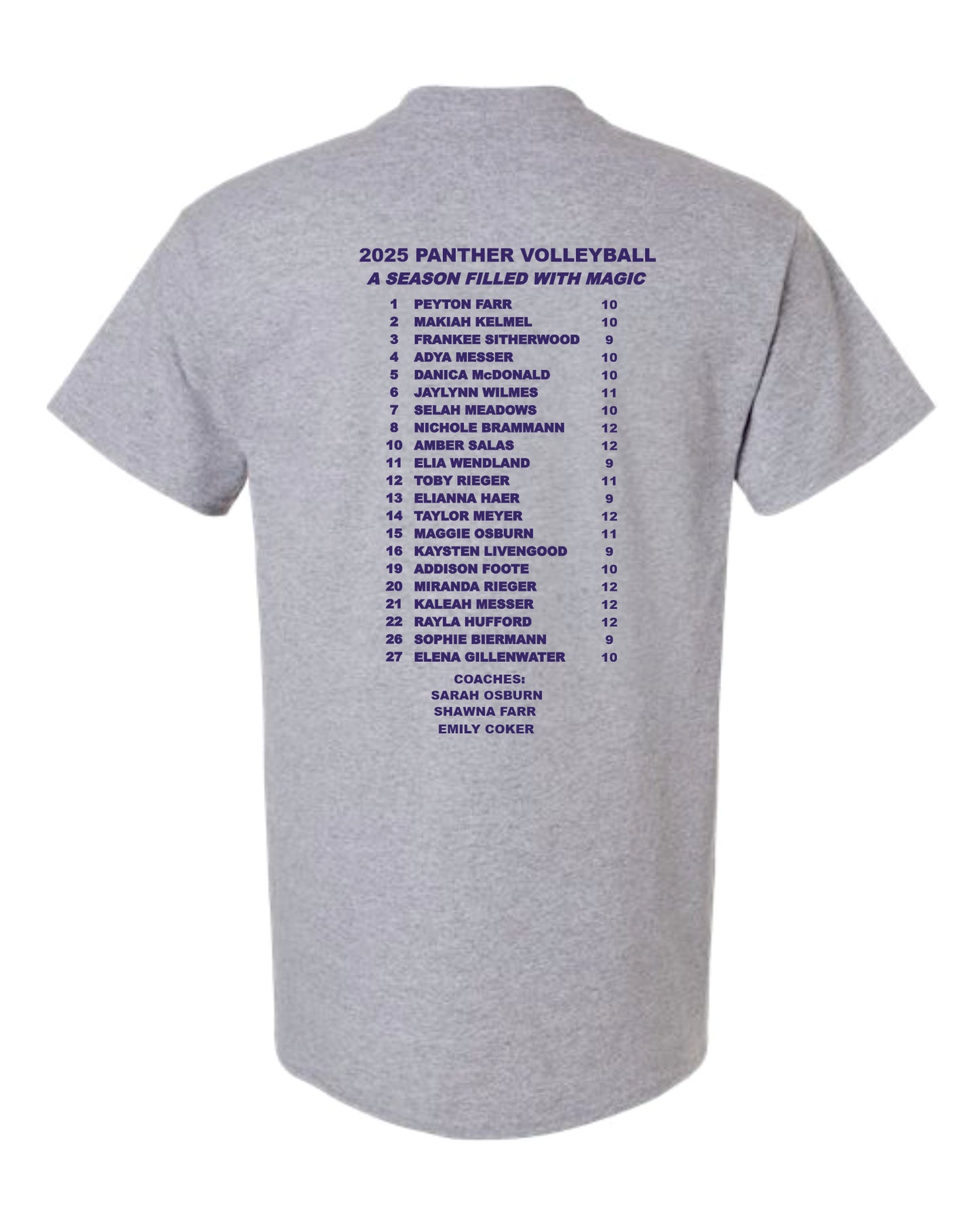 Mound City Panthers Sport Grey Volleyball T's