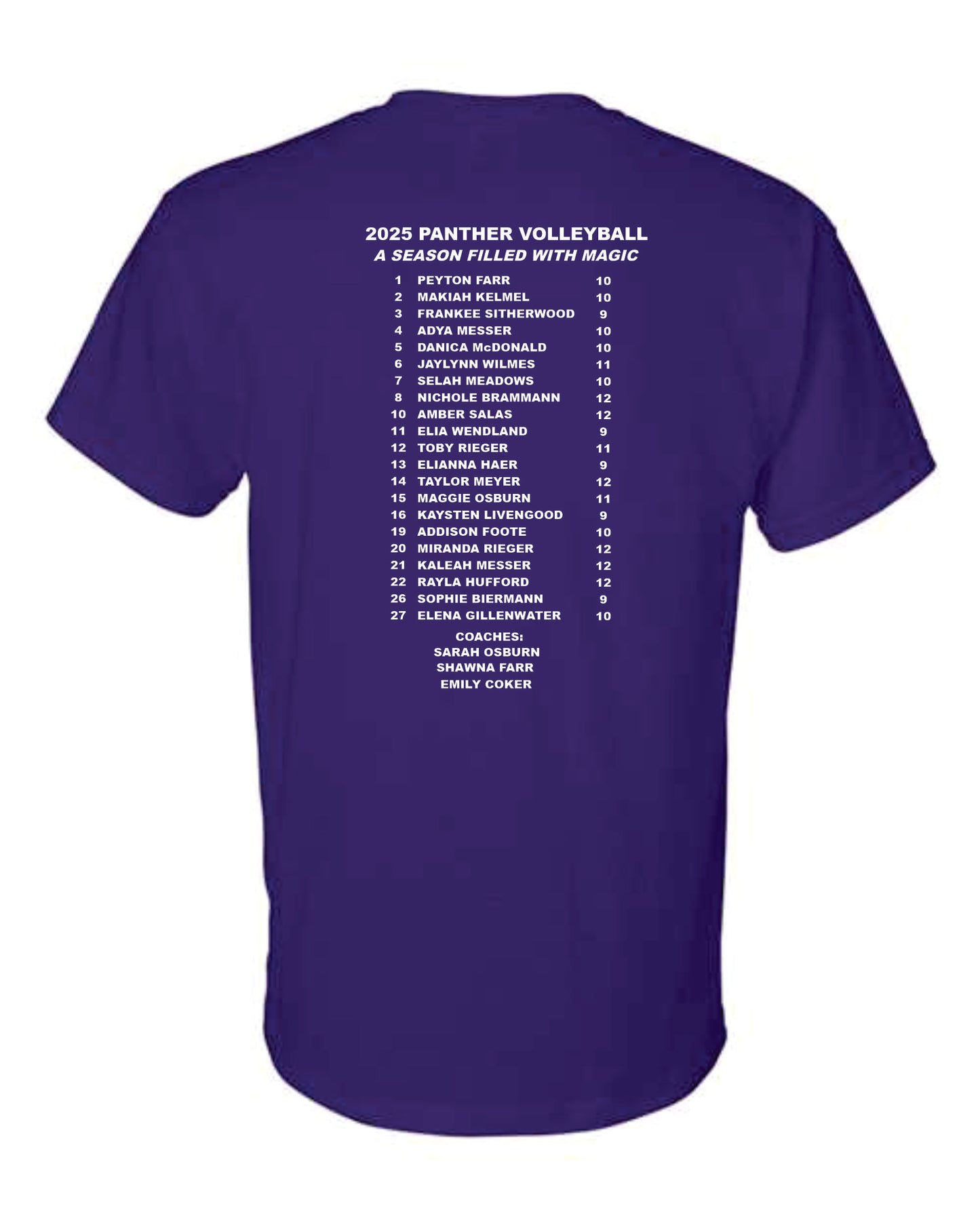 Mound City Panthers Purple Volleyball T's